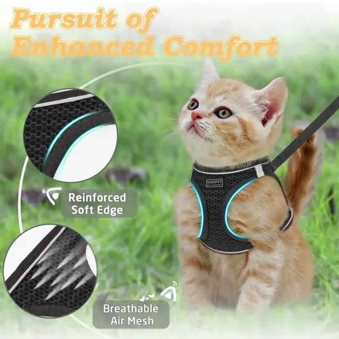 Ensemble de 2 harnais et laisses anti-évasion pour chat avec gilet en filet souple réfléchissant