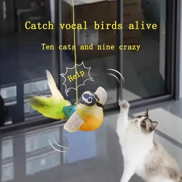 Jouets pour chats d'intérieur