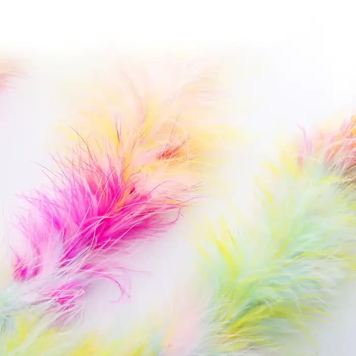 Baguette teaser pour chat en plumes arc-en-ciel, jouet interactif coloré pour chat, jeu amusant de chasse et de gonflage pour chatons et chats adultes,
