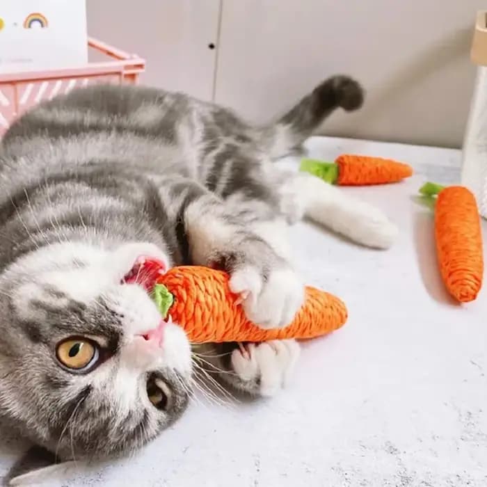 Jouet pour chat, son de carotte, produits pour animaux de compagnie, corde en papier résistante aux morsures, grattoir, dents propres, jeu interactif, jouet à mâcher pour chat