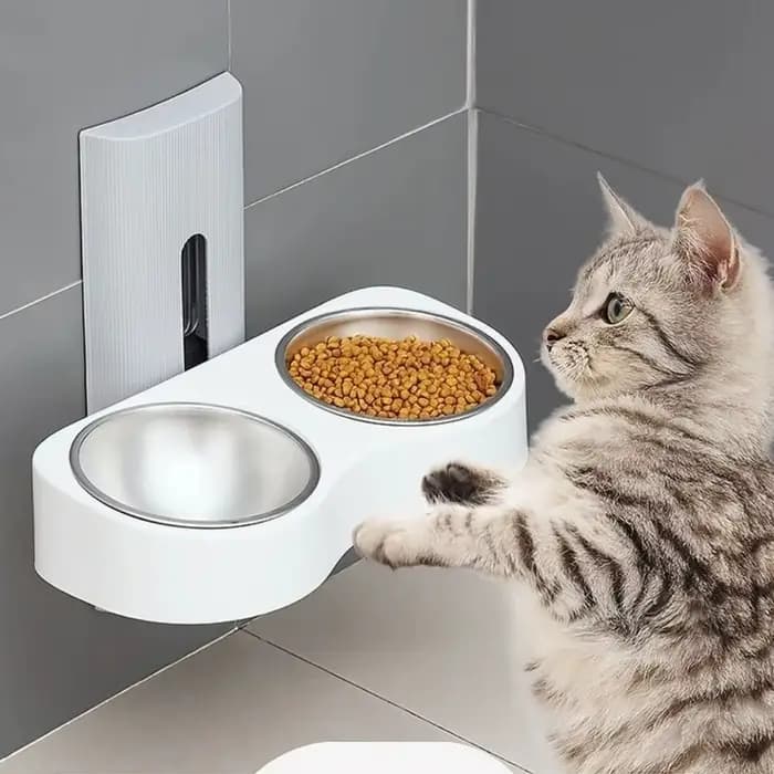 Bol d'arrosage mural pour chats