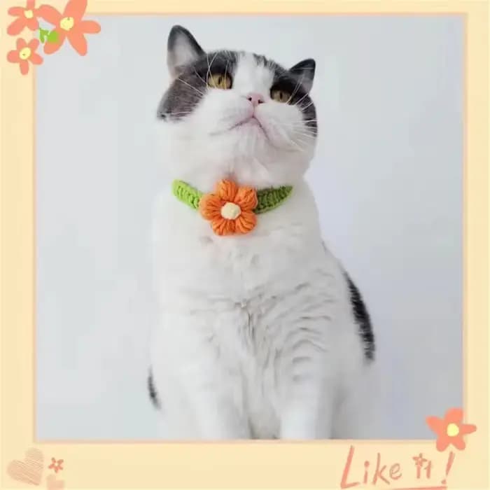 Collier en laine réglable en Crochet pour chien et chat