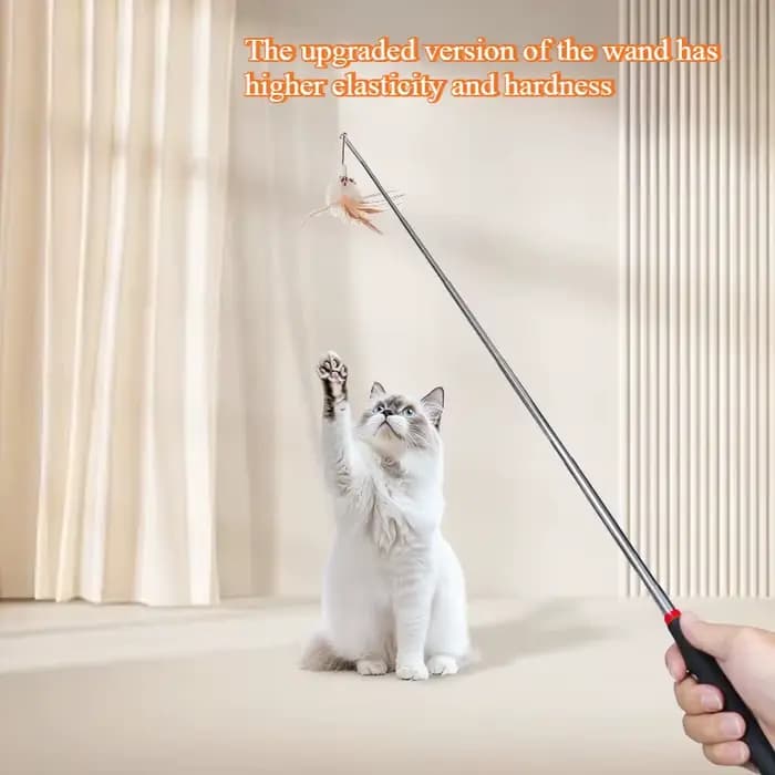 Jouet Teaser rétractable pour chat