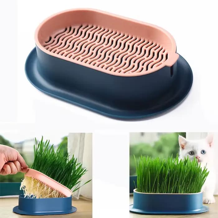 Plat de germe pour chat de compagnie, Pot de culture pour plantes hydroponiques, Pot d'herbe, boîte de Germination, plat de démarrage pour pépinière, boîte de culture en serre