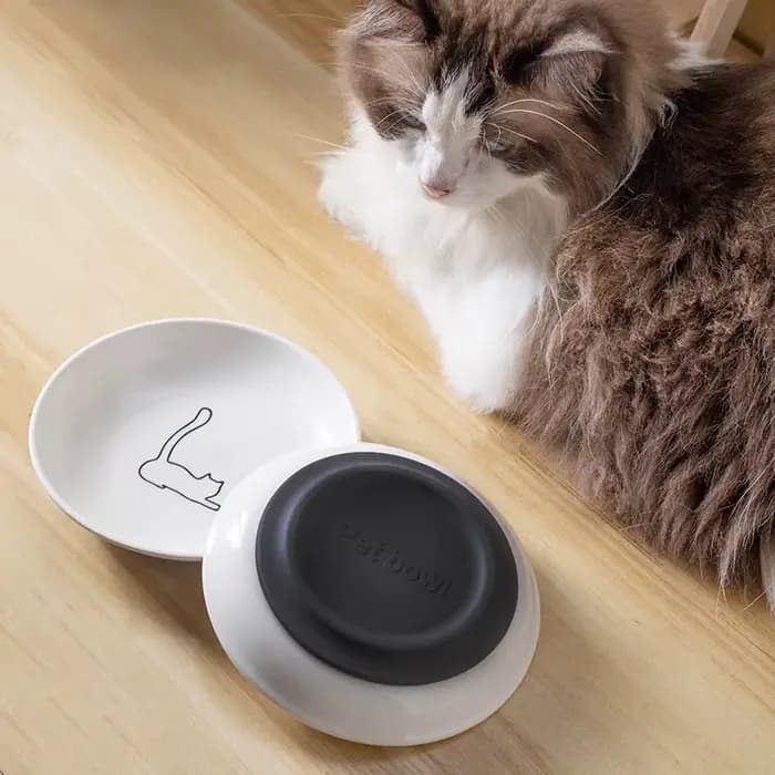 Gamelle en céramique pour chatons ; Assiette antidérapante pour chat ; Support en silicone ; Essentiels charmants pour animaux de compagnie