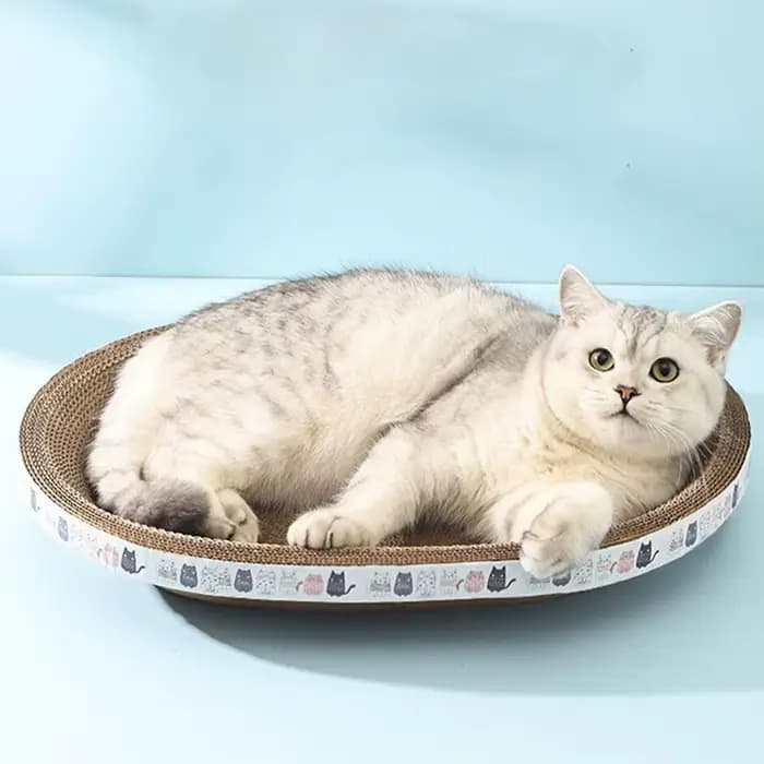 Gratte-chat ondulé grattoirs pour chat planche à gratter