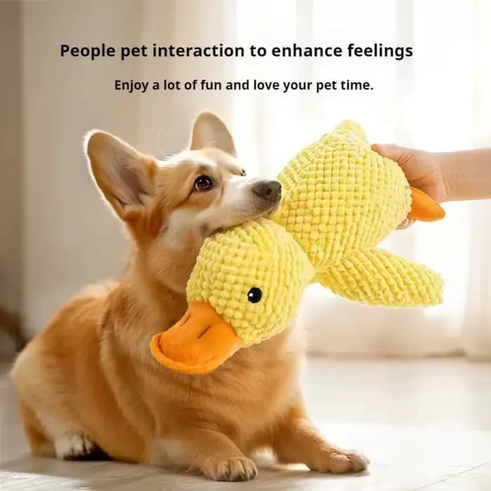 Jouet Canard Apaisant pour Chien