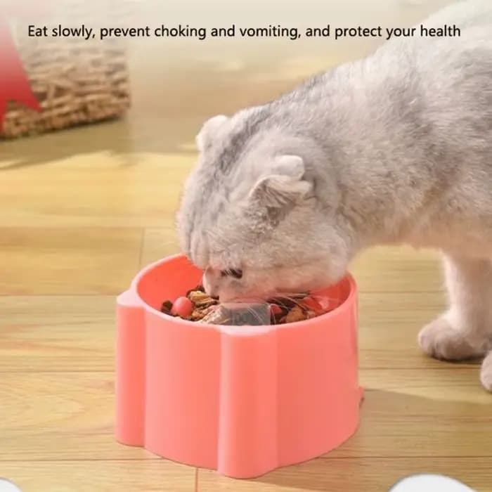 Bol à alimentation lente pour chat