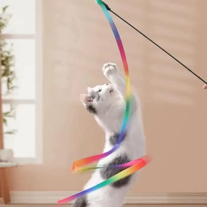 Jouets interactifs pour chat avec ruban coloré