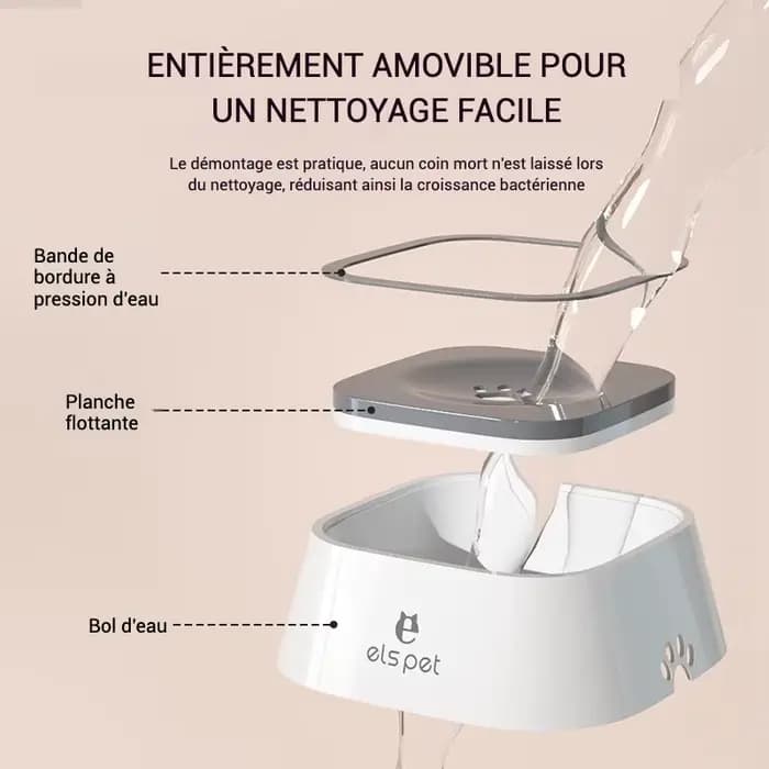 Bol d'eau pour chien, sans déversement