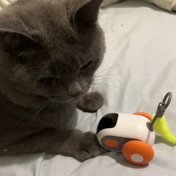 Jouet de voiture télécommandé Intelligent 2.0 pour chats