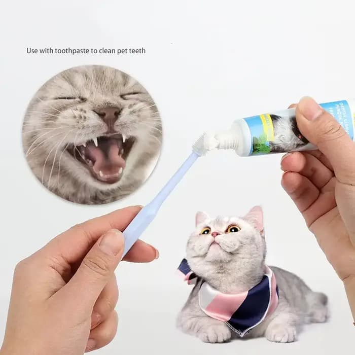 360 degrés brosse à dents pour animaux de compagnie chat