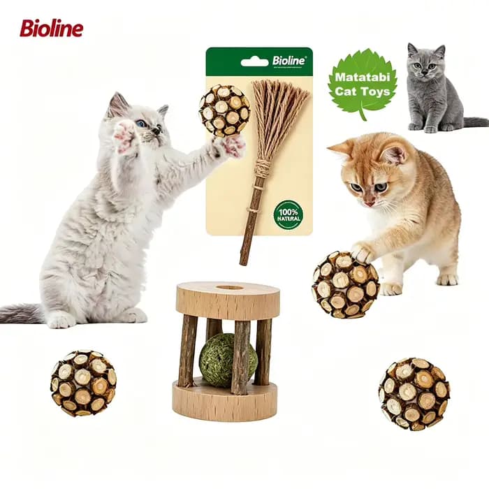 Jouet pour chat Bioline : Balle à chatouilleuse et rouleau Matatabi pour chats d'intérieur et chatons – Fournitures interactives pour le jeu