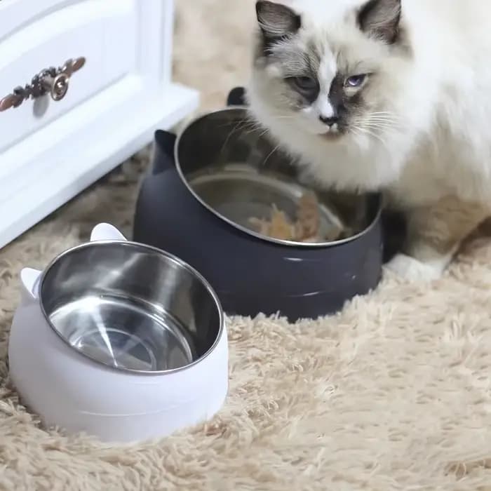 Bol pour chat 2 en 1 en acier inoxydable avec support - Design oreilles