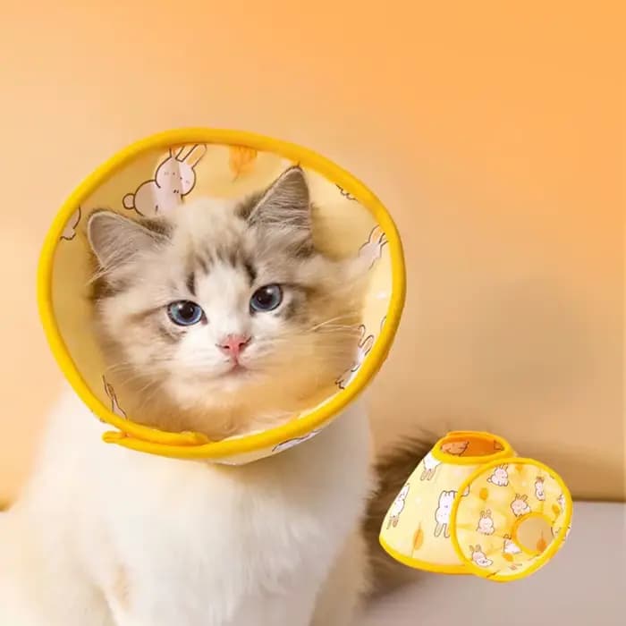 Collier anti-morsure en coton doux réglable pour animaux de compagnie