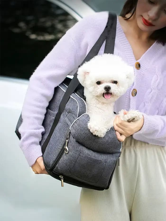 Siège de voiture Portable pour chien et chat