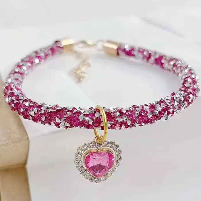 Collier réglable en métal pour animaux de compagnie