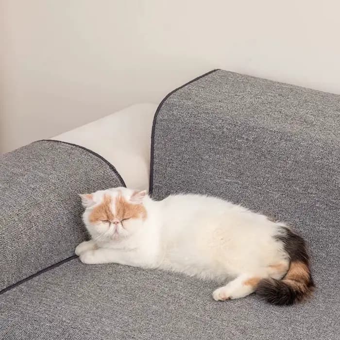 Grand tapis anti-rayures pour chat