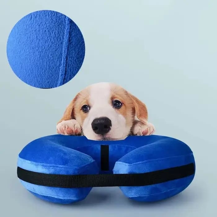 Collier gonflable anti-morsure pour chien