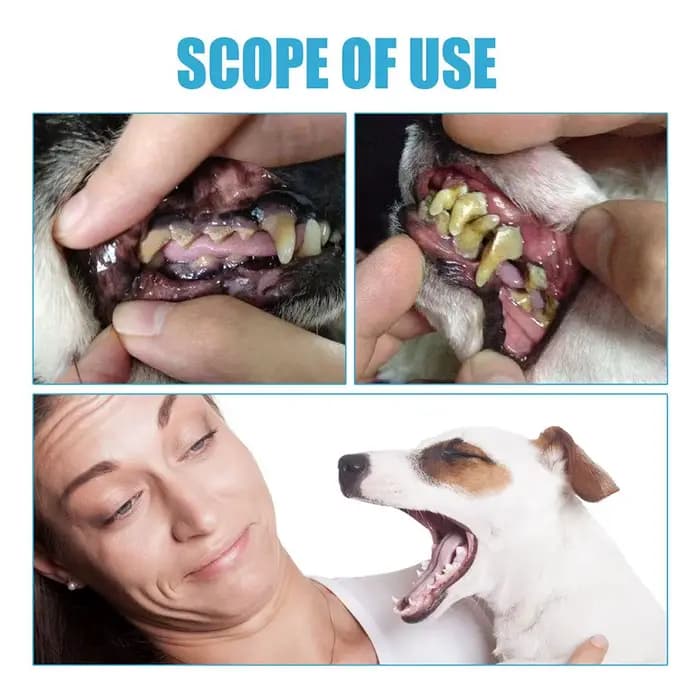 Dentifrice comestible pour animaux de compagnie