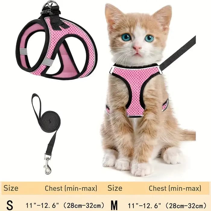 Ensemble de harnais anti-fuite pour chat : laisse de sécurité extérieure en maille souple réfléchissante