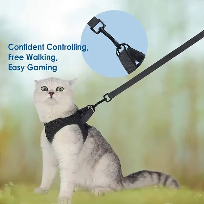 Harnais et laisse pour chat