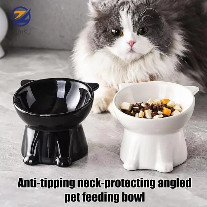 Bol anti-renversement pour nourriture et eau pour chat