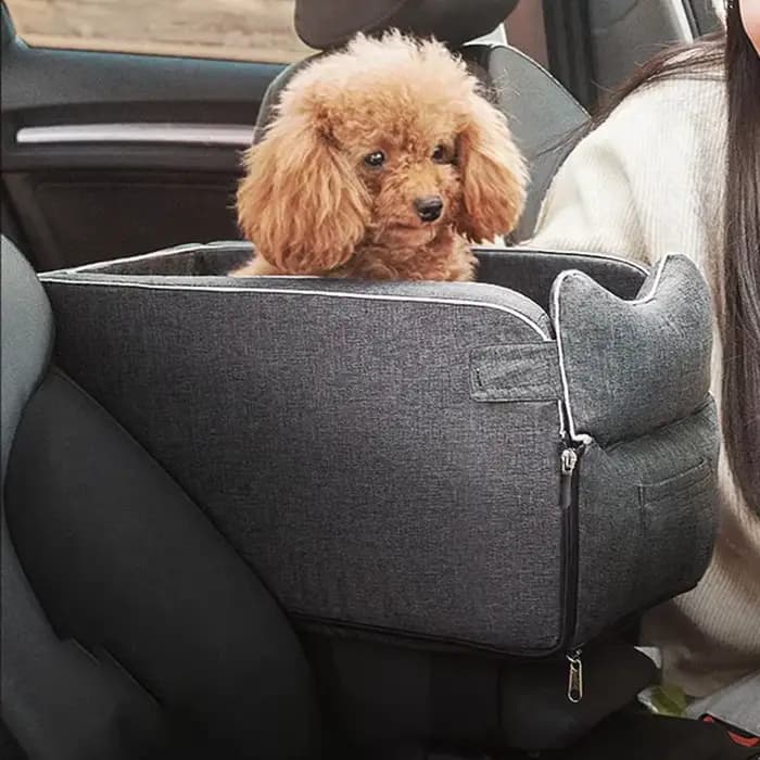 Maison chat accessoires Portable chien