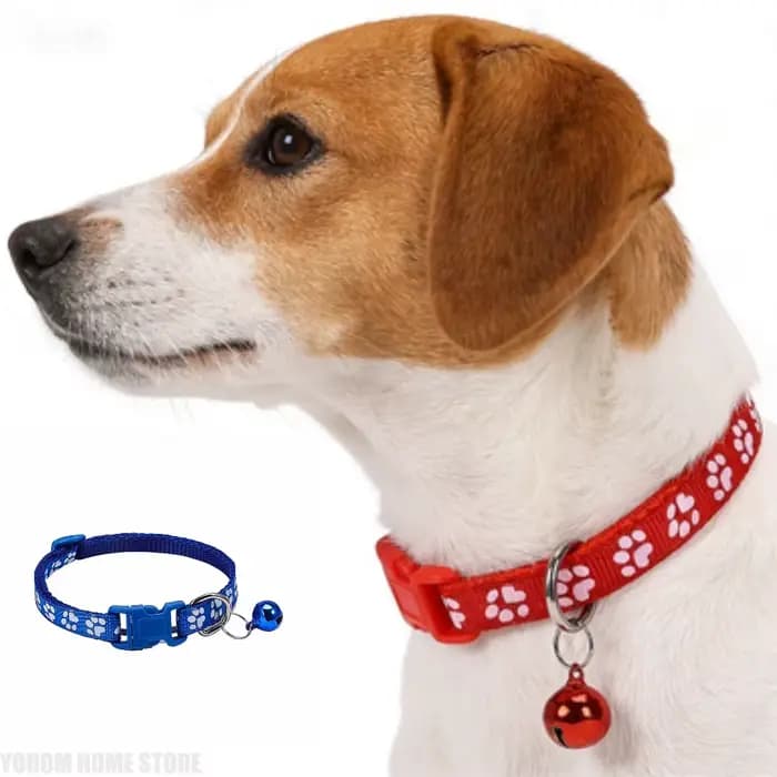 Collier universel pour chats et chiens