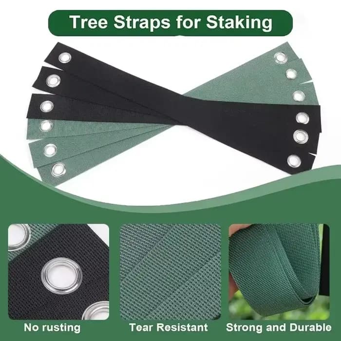 Sangles de support d'arbres (20/1 pièce) – Fixation des branches, protection anti-vent, outils de redressement, ceinture en nylon pour plantes, accessoires de jardin