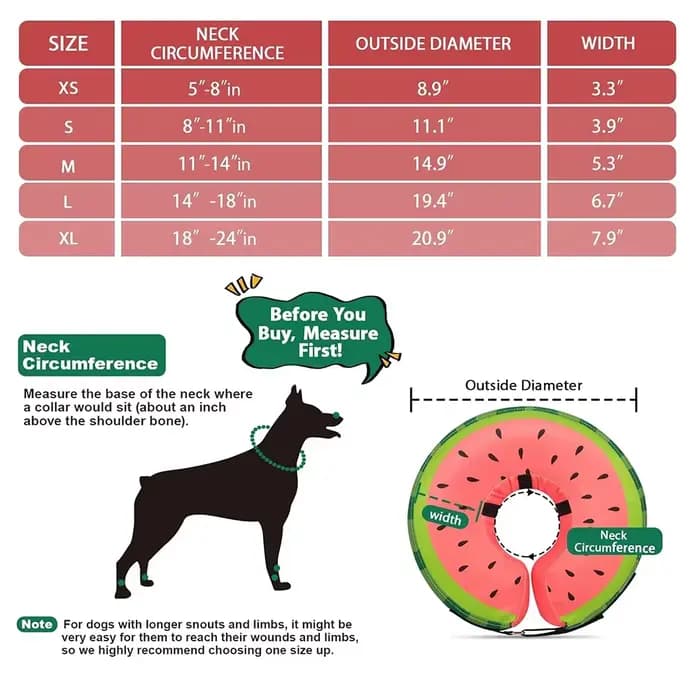 Collier gonflable anti-morsure pour chien
