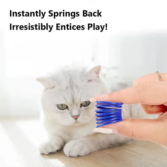 4 jouets à ressort colorés pour chats