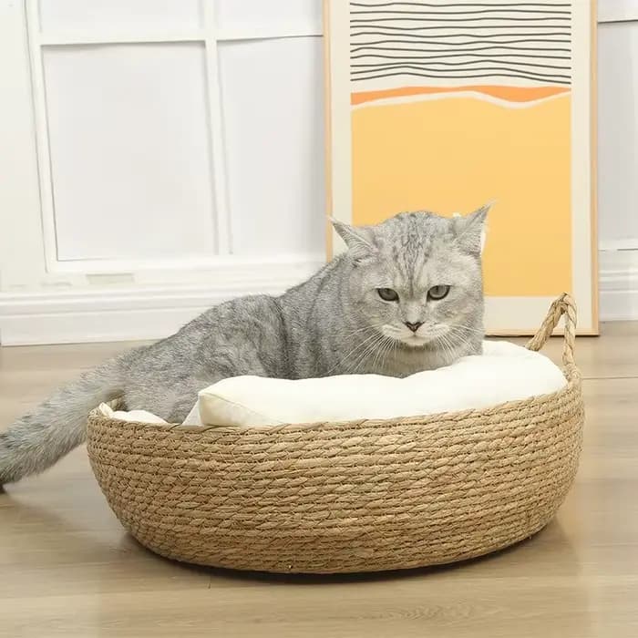Panier-lit pour chat en rotin tressé d'été avec coussin moelleux