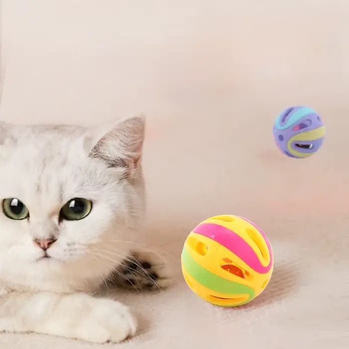 Cloche balle chat jouets chaton coloré jouer