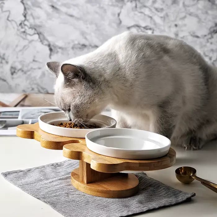 Nouveau Amboo bois céramique chat bol fournitures pour animaux de compagnie Double bols nourriture eau bol Protection