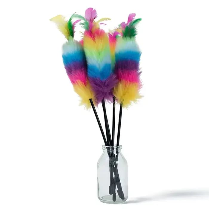 Baguette de teaser en plumes colorées