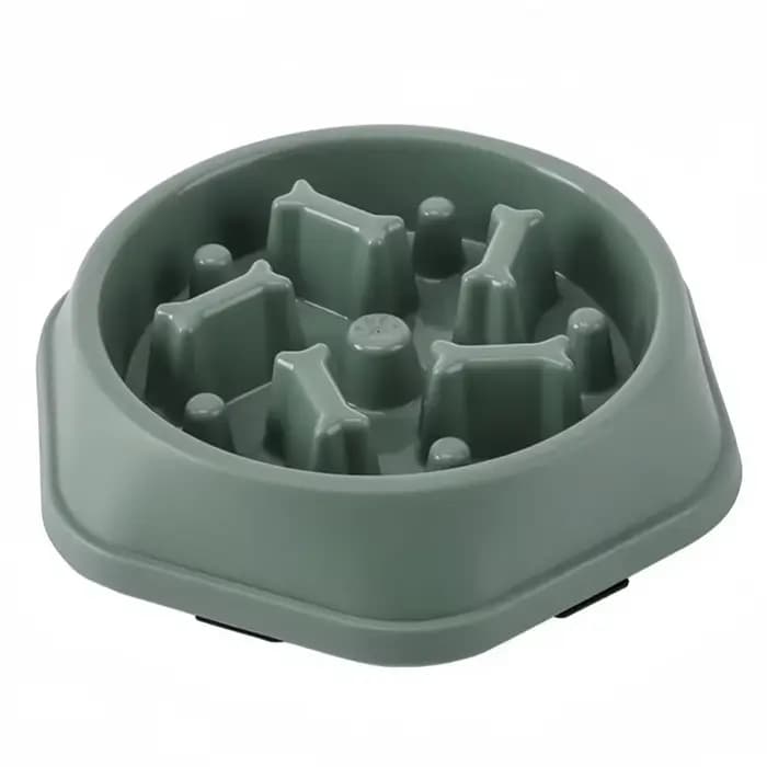 Bol de nourriture lente pour chien et chat