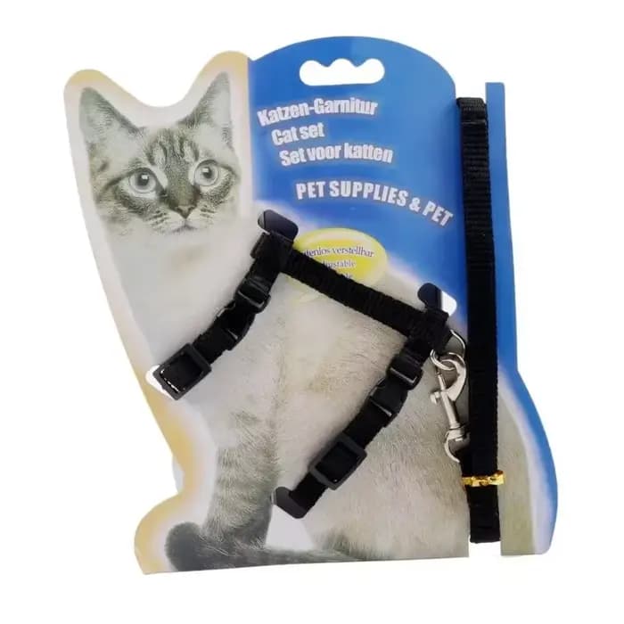 Harnais et laisse pour chat
