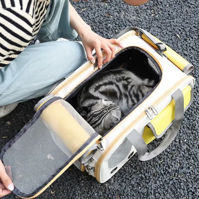 Sac de transport pliable pour animaux de compagnie, approuvé par les compagnies aériennes, pour petits chiens, chats, lapins, chiots - Sac de voyage en tissu Oxford durable avec ventilation