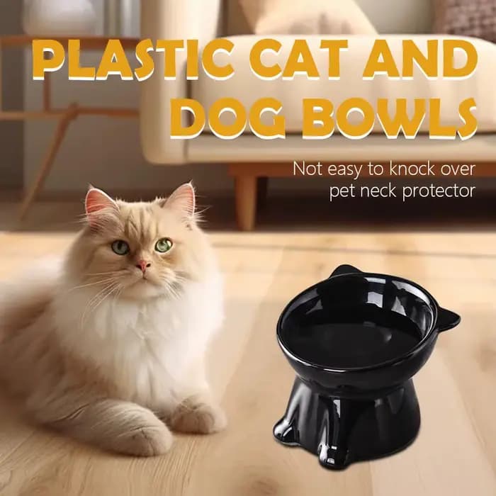Bol surélevé pour chat