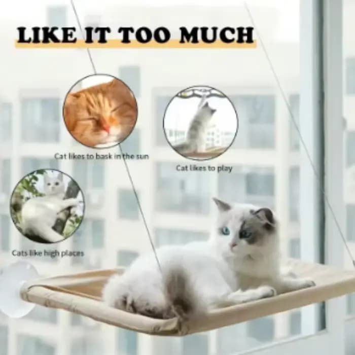 Hamac suspendu pour chat à ventouse