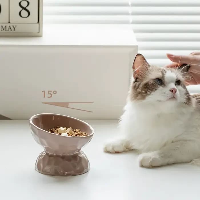 Bol en céramique pour chat, bouche inclinée/plate, bassin d'alimentation multi-usage pour chien, antidérapant, Anti-basculement, mangeoire pour animaux de compagnie, chaton, chiot