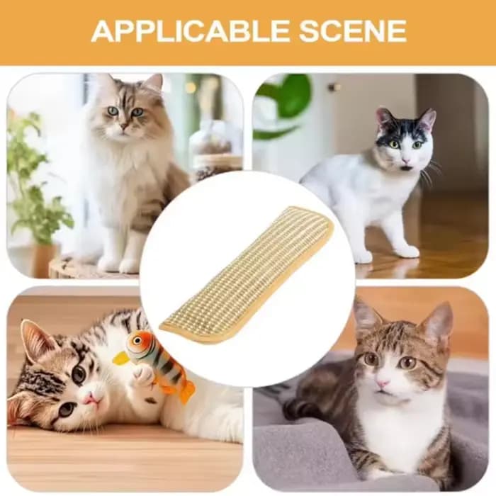 Jouets interactifs pour chat