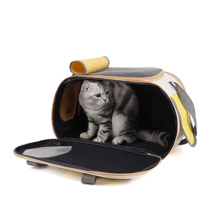 Sac de transport pliable pour animaux de compagnie, approuvé par les compagnies aériennes, pour petits chiens, chats, lapins, chiots - Sac de voyage en tissu Oxford durable avec ventilation