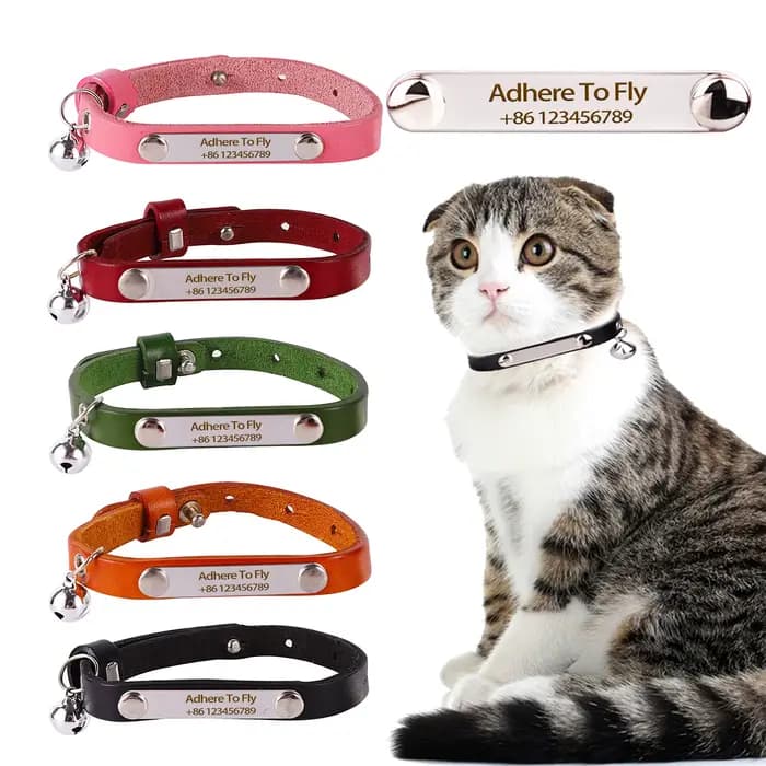 Collier de chat personnalisé réglable en cuir colliers de chats de compagnie
