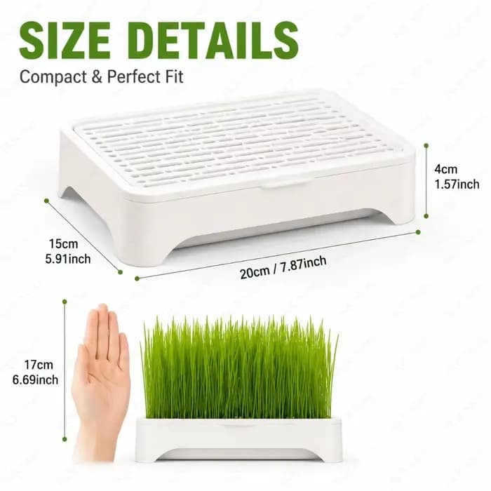 Kit de plantation hydroponique sans terre pour herbe à chat