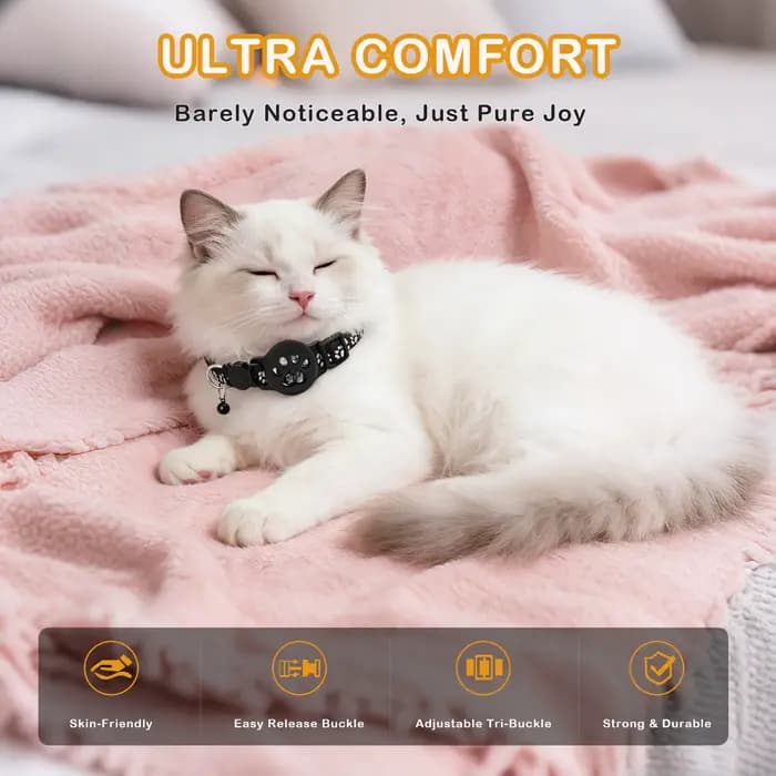 2 types de traceurs GPS multifonctionnels pour animaux de compagnie