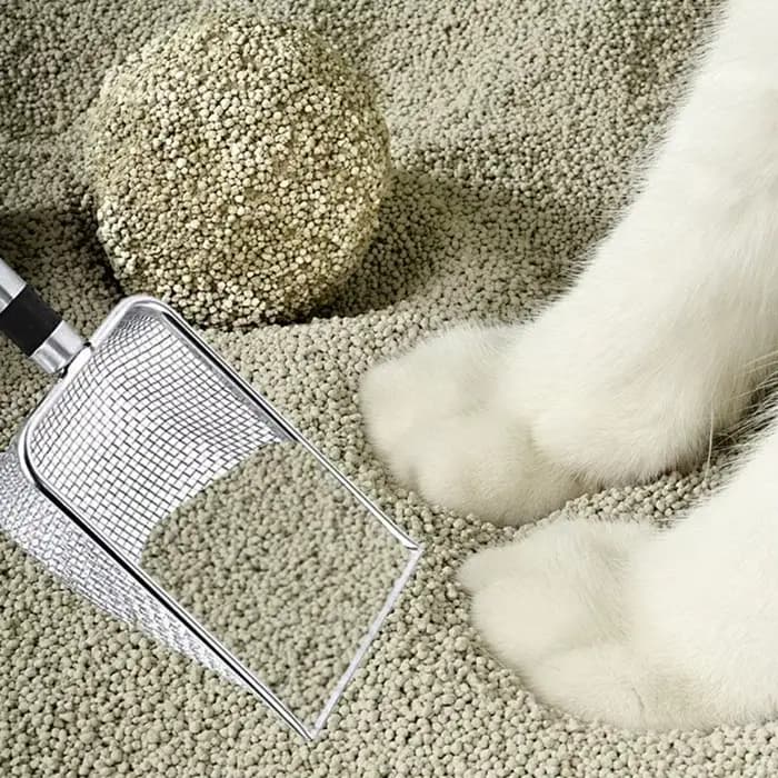 Pelle à litière pour chat en acier inoxydable – Durable