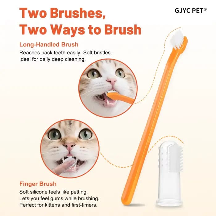 Gel dentaire enzymatique pour chat, saveur saumon, éliminateur de plaque et de tartre, soin buccal, haleine fraîche, comestible, sûr pour le brossage quotidien