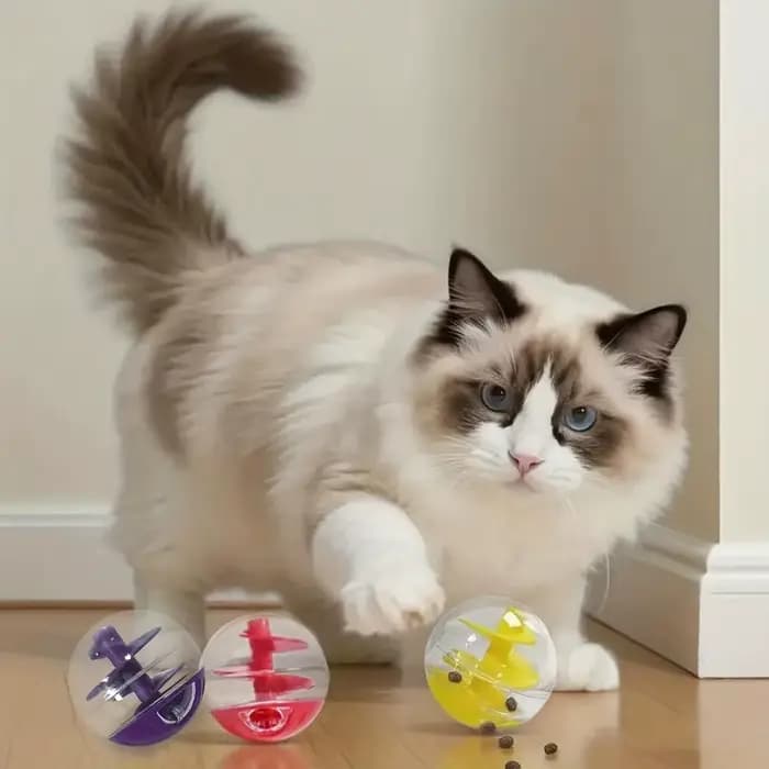 Jouet distributeur de friandises pour chat